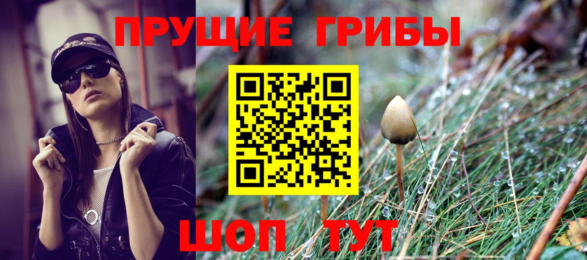 Псилоцибиновые грибы ЛСД  Галлюциногенные грибы ЛСД  Изобильный  где продают   Вход с VPN 